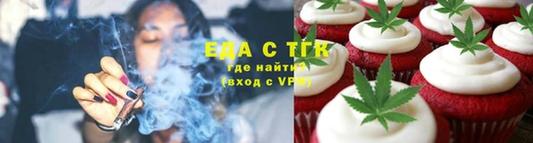 индика Мегион