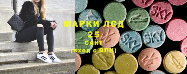 СК Михайловск