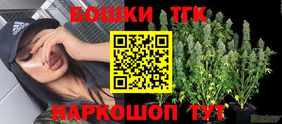 индика Апшеронск