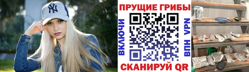 Псилоцибиновые грибы Magic Shrooms Кулебаки
