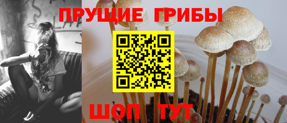Галлюциногенные грибы GOLDEN TEACHER  купить   Кулебаки  Вход с VPN  Галлюциногенные грибы мухоморы 